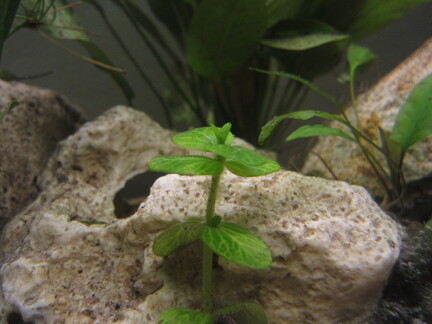 20120405 225543